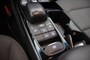 Hyundai Ioniq Comfort EV 38 kWh - Carplay, Camera, Stoelverw. SOH 100%