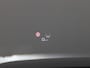 Audi SQ7 4.0 TFSI SQ7 quattro 507PK S-Tronic 7-persoons advanced onderstel, panoramadak, trekhaak, standkachel, 360 gr. camera, leder, Bang&Olufsen, Laser LED,winterpakket Plus, stoelventilatie, alarm, 22'' lichtmetaal