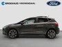 Ford Fiesta 1.0 Vignale EcoBoost | Panoramadak | Winter Pack | Camera | Cruise Control