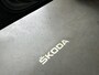 Skoda Karoq 1.0 TSI Business Edition Panorama Navi Trekhaak