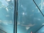 Citroën 2CV 2CV6 Special