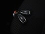 Ford Focus 1.5 181 pk EcoBoost ST Line Business | Panoramadak | 181 pk | Nederlandse Auto | NAP |