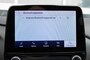 Ford Puma 1.0 EB HYB ST-LINE X  Panorama dak