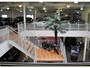 Peugeot 2008 Allure 1.2 Pure Tech 100pk Navi / Camera