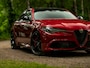 Alfa Romeo Giulia 2.9 V6 Quadrifoglio | MY22 | Carbon dak | Harman/Kardon | 20 inch | Carbon stuur | Adapt. cruise | Camera