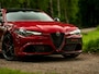 Alfa Romeo Giulia 2.9 V6 Quadrifoglio | MY22 | Carbon dak | Harman/Kardon | 20 inch | Carbon stuur | Adapt. cruise | Camera