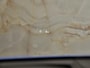 BMW X2 M35i High Executive, M stoelen, 19", pano, H/K, HUD, ACC, shadow line, NP79k
