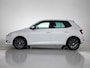 Skoda Fabia 1.0 TSI Business Edition | CAMERA | STOELVERWARMING | CLIMATE CONTROL | CRUISE CONTROL | PARKEERSENSOREN |