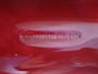 Volkswagen Caddy Maxi 1.4TGI Benzine/Aardgas | Airco | Navigatie