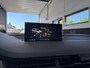 Audi Q7 3.0 TDI e-tron quattro Sport S-Line, Pano, Camera, Luchtvering, Adaptive, 1e eigenaar, NL Auto