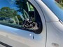 Renault Kangoo Express 1.5 dCi 90 Express Black Edition | Cruise + Airco Nu € 2.450,-!!!