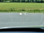 Land Rover Discovery Sport P300e 1.5 R-Dynamic HSE PHEV 4WD Automaat / Panoramadak / Dealer Onderhouden / Rondomzicht Camera / HUD / Cruise Control Adaptief
