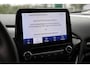 Ford Fiesta 1.0EB HYBRID TITANIUM | NL-AUTO! | DEALER OH! | APPLE CARPLAY & ANDROID AUTO | PARKEERSENSOREN | CRUISE