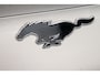 Ford Mustang Mach-E Extended RWD 98 kWh LED | Camera | Stoel-stuur verwarming