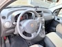 Fiat Panda 1.2 Edizione Cool