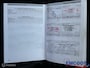 Ford Focus 2.0-16V Ghia * Automaat * Airco * Cruise Control *