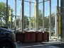 Opel Corsa 1.2 75pk Edition | Cruise Control | Airco | Parkeersensoren Achter | Apple Carplay/Android Auto |