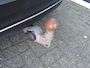 Volvo XC40 1.5 T4 RECHARGE CORE Aut. / Wegklap.haak / 18 Inch / BOVAG garan