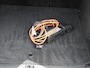 Opel Astra Sports Tourer GS Level 4 1.6 Hybrid 180pk Automaat SCHUIF-DAK | 17''LM | HUD | ADAPT. CRUISE | 360° CAM. | DODE HOEK | AGR