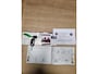 Fiat 500C 0.9 TWINAIR LOUNGE CABRIOLET LEDER NAVI