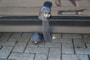 Peugeot 208 BLUE LION 1.2-82PK 5-DEURS - AIRCO - NAVI - CRUISE CONTROLE - TR