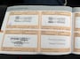 Citroën C4 Cactus 1.2 e-VTi Shine, Automaat, Navi, Panodak