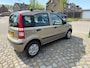 Fiat Panda 1.2 Edizione Cool