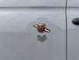 Abarth 595 1.4 T-Jet Esseesse SABELT | BEATS | CARBON