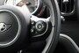 MINI Countryman 2.0 Cooper S E ALL4 Salt - Half Leer, Cruise, Navi, Clima