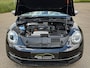 Volkswagen Beetle Cabriolet 1.4 TSI 50's Edition | Clima | Cruise | Navi | Leder | Stoelverw. | Bleutooth | Uniek! |