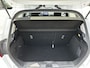 Ford Fiesta EcoBoost 95PK Titanium | Winter pack | Dodehoek detectie | Adapt. Cruise | Camera achter |