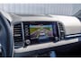 Skoda Karoq 1.5 TSI 150pk DSG ACT Design | Panoramadak | Achteruitrijcamera