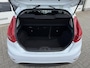 Ford Fiesta 1.25 Trend|Clima|Stoel verwarming|Goed onderhouden|