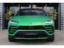 Lamborghini Urus 4.0 V8 | Wrap mat groen, Keramische remmen, 23 inch, Alcantara interieur, Bang&Olufsen, Panoramadak, Trekhaak