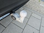 Volvo XC40 2.0 B4 Plus Dark | Stoelverwarming | Trekhaak | Keyless Entry | Harman/Kardon Audio |