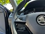 Skoda Octavia Combi Business Edition 1.5 TSI G-TEC 131 pk - AUTOMAAT - CNG - trekhaak