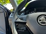 Skoda Octavia Combi Business Edition 1.5 TSI G-TEC 131 pk - AUTOMAAT - CNG - trekhaak