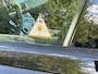 Land Rover Range Rover Sport 3.0 P400 MHEV 4oo PK Benzine HST Full option