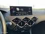 DS 3 Crossback 100pk Performance Line