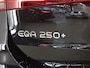 Mercedes-Benz EQA 250+ Business Edition AMG-Line | Memory stoelen | Sfeerverlichting | Stoelverwarming | 360°-Camera |