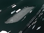 Aston Martin Vanquish Volante by Q 8-Speed