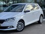 Skoda Fabia 1.0 TSI Online Edition 5 deurs Clima Navi NAP