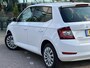 Skoda Fabia 1.0 TSI Online Edition 5 deurs Clima Navi NAP