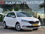 Skoda Fabia 1.0 TSI Online Edition 5 deurs Clima Navi NAP