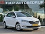 Skoda Fabia 1.0 TSI Online Edition 5 deurs Clima Navi NAP