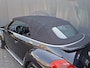 Volkswagen Beetle Cabriolet 1.2 TSI Design LED / NAVI / STOELV.