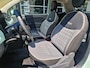 Fiat 500 1.2 ‘Verde Lattemente PANO / CRUISE / CARPLAY