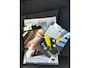 BMW 3-Serie 320i Dynamic Executive/AIRCO/PARKS/CRUISE/APK