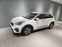 Kia Niro 1.6 GDi Hybrid 141pk DCT6 Vol Automaat DynamicLine 1e Eigenaar Unieke KM-Stand