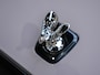 Rolls-Royce Spectre / Starlight Roof & Doors / Bespoke Audio / Black Pack
